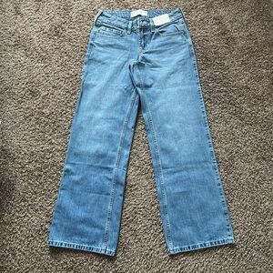 Hollister Low Rise Los Angeles Graphic Baggy Jeans
